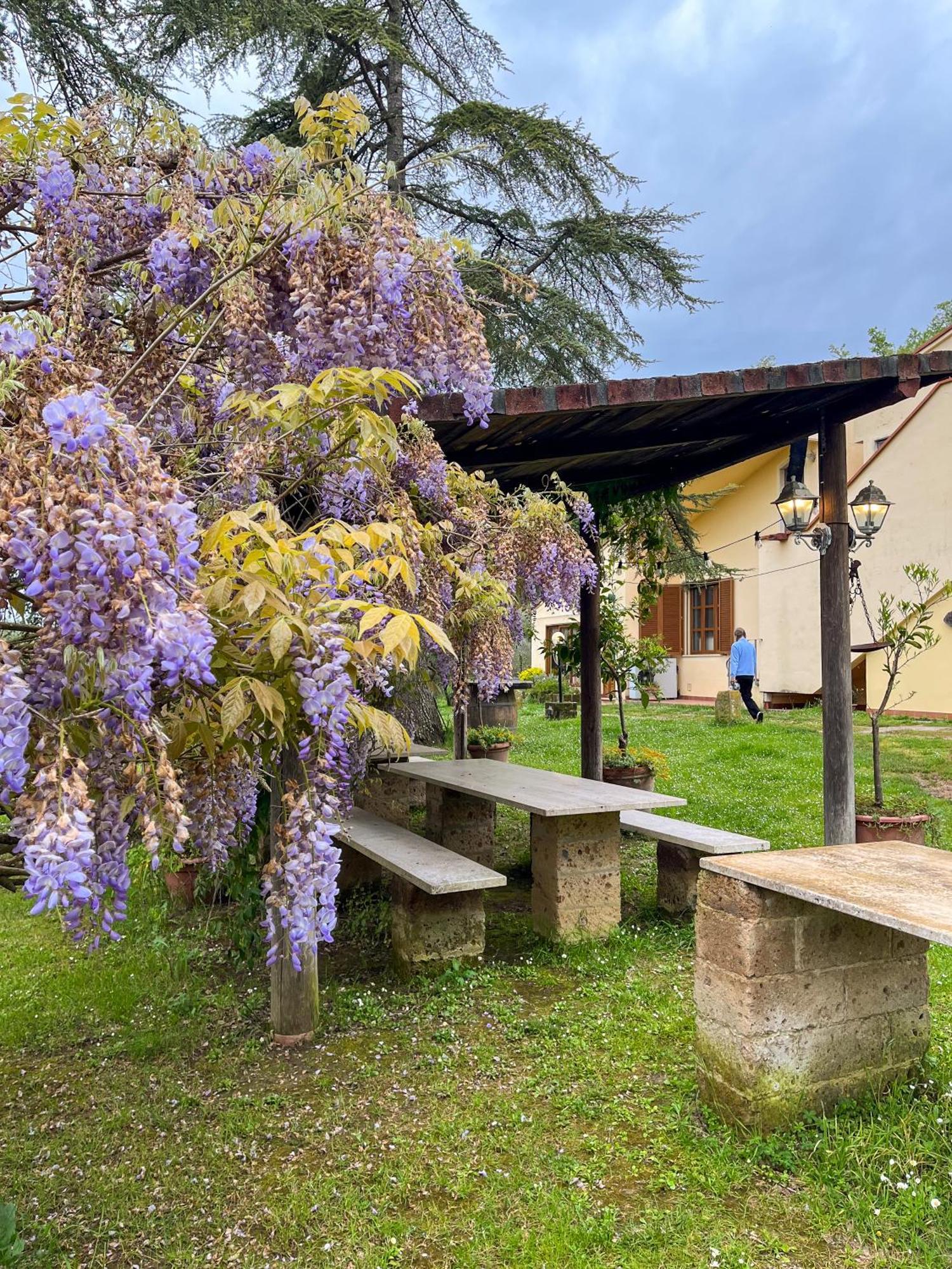 Montefoscoli Tuscany Time מראה חיצוני תמונה